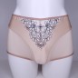 Nude Petal: High Waist Sissy Panties for Men Nude Petal: High Waist Sissy Panties for Men