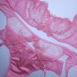 Cherry Darling: Cross Dress Satin Sissy Panties and Thongs for Men Cherry Darling: Cross Dress Satin Sissy Panties and Thongs for Men