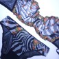 Zesty Savannah: Zebra Mesh Panties and Thongs Zesty Savannah: Zebra Mesh Panties and Thongs