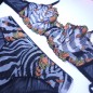 Zesty Savannah: Zebra Mesh Panties and Thongs Zesty Savannah: Zebra Mesh Panties and Thongs