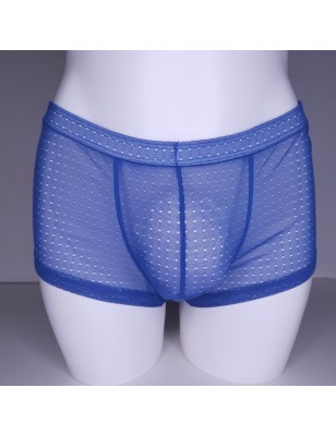 XL Shorts Chiloe