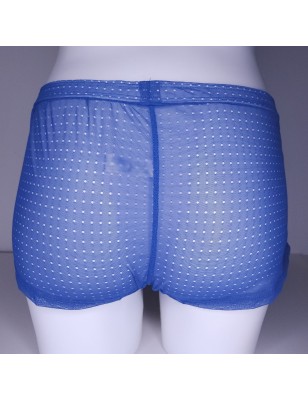 XL Shorts Chiloe