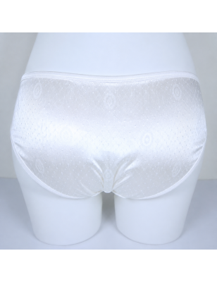 Snow Glow - White Satin Sissy Panties