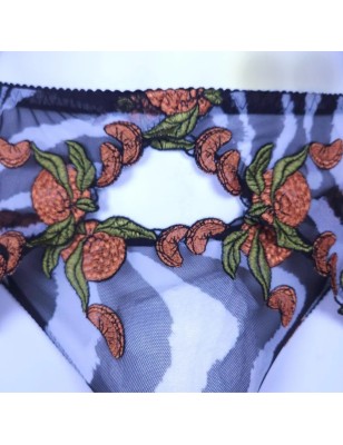 Zesty Savannah: Zebra Mesh Garter Belt