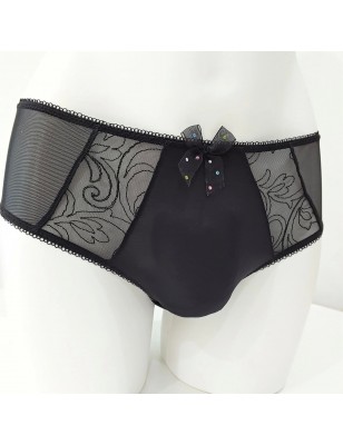 Black Elegance: Sheer Mesh Panties for Men