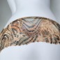 Wild Essence: Cheetah Motif Mesh Panties for Men