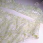 Lime Elegance: Soft Lace Panties for Men